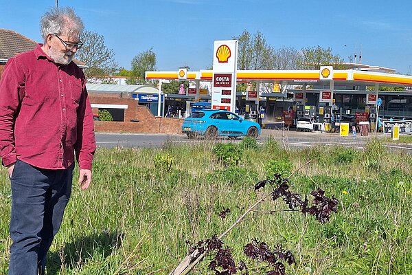 Ian Eiloart inspecting damaged tree on Hull Road roundabout