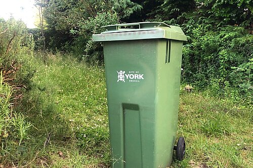 A green wheelie bin